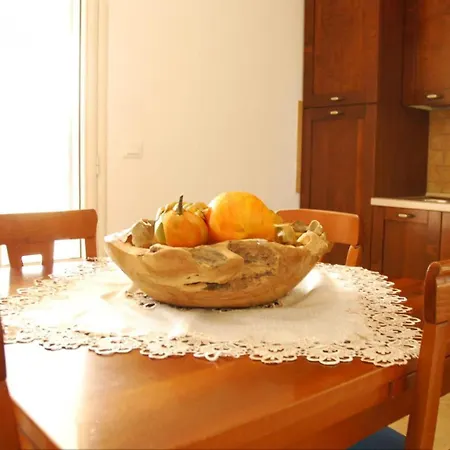 فيلة Arosa *